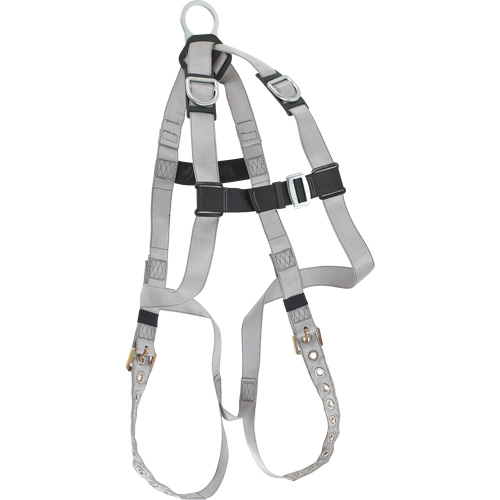 Harnais &eacute;conomique de conformit&eacute; B Dynamic, Certifi&eacute;e CSA, Classe AE, Cap. 310 lb FMT Sales Ltd