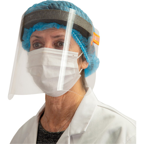 Disposable Faceshield, PET, Clear Tint FMT Sales Ltd