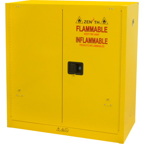 Flammable Storage Cabinet, 30 gal., 2 Door, 43" W x 44" H x 18" D FMT Sales Ltd