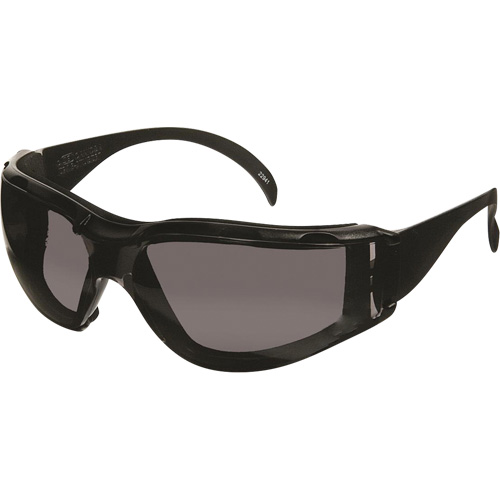 Lunettes de s&eacute;curit&eacute; CeeTec DX, Lentille Gris, Antibu&eacute;e/Anti-&eacute;gratignures, R&eacute;pond ou surpasse la norme CSA Z94.3 FMT Sales Ltd