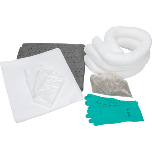 Trousse d'&eacute;quipement de lutte contre les d&eacute;versements, Huile seulement/Universel, Sac, Absorbance de 10 gal. US FMT Sales Ltd