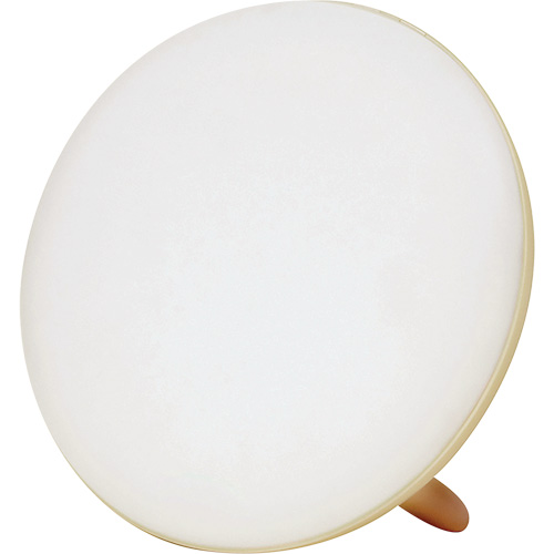 Lampe &agrave; luminoth&eacute;rapie pour le traitement de la d&eacute;pression saisonni&egrave;re FMT Sales Ltd