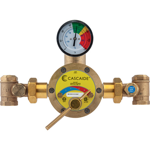 Mitigeur pour assemblage au groupe expos&eacute; d'une douche d'urgence simple ou combin&eacute;e, 56 gal./min FMT Sales Ltd