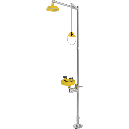 Combination Emergency Shower & Eyewash Station, Pedestal FMT Sales Ltd