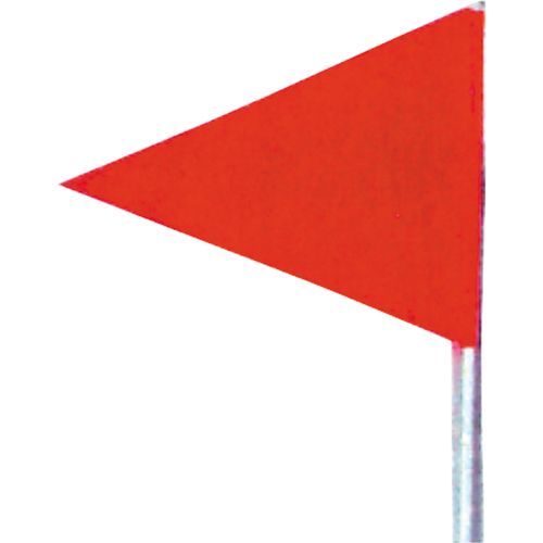 Fanions pour le d&eacute;neigement, Rouge, 6' ha FMT Sales Ltd