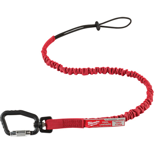 Locking Tool Lanyard, Bungee, Carabiner/Loop FMT Sales Ltd