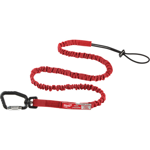 Longe verrouillable pour outils &agrave; port&eacute;e &eacute;tendue, Tendeur, Mousqueton/boucle FMT Sales Ltd