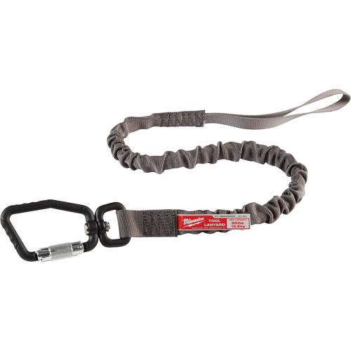 Locking Tool Lanyard, Bungee, Carabiner/Loop FMT Sales Ltd