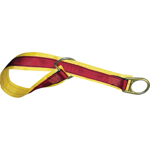 4' Anchorage Connector Strap, D-Ring, Temporary Use FMT Sales Ltd