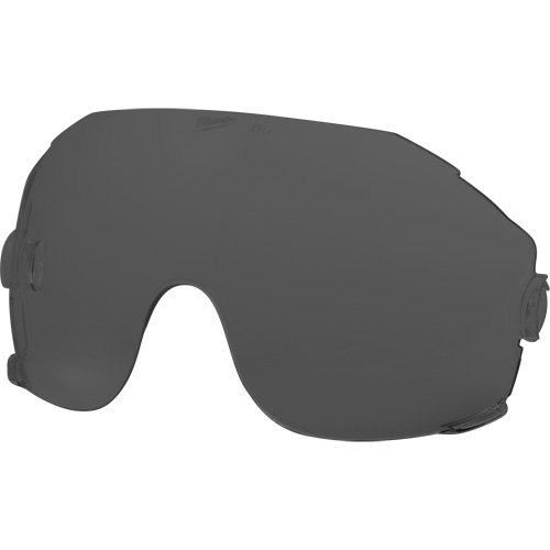 Eye Visor Replacement Lenses, Grey/Smoke Tint FMT Sales Ltd