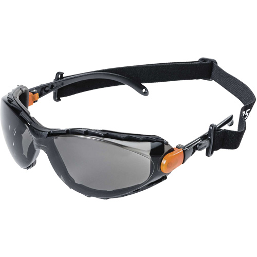 XPS502 Sealed Safety Glasses, Smoke Lens, Anti-Fog/Anti-Scratch FMT Sales Ltd