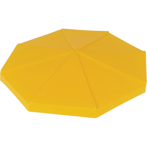 Bung Access Snap-On Cover FMT Sales Ltd