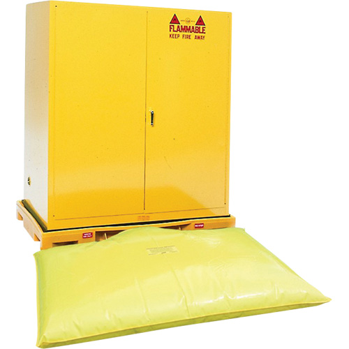 Double Drum Ultra-Safety Cabinet Bladder System&reg;, 63" L x 38.5" W x 6.3" H, 3000 lbs. Load Capacity FMT Sales Ltd