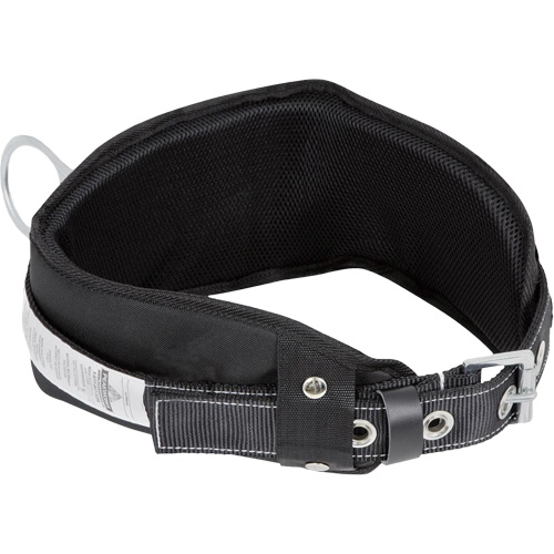 WB-6010-S Safety Restraint 1 D-Ring Belt with Padded Lumbar Support - Small FMT Sales Ltd