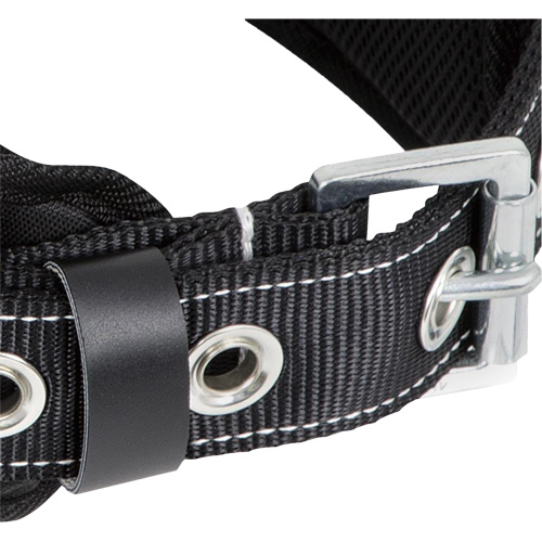 WB-6010-S Safety Restraint 1 D-Ring Belt with Padded Lumbar Support - Small FMT Sales Ltd