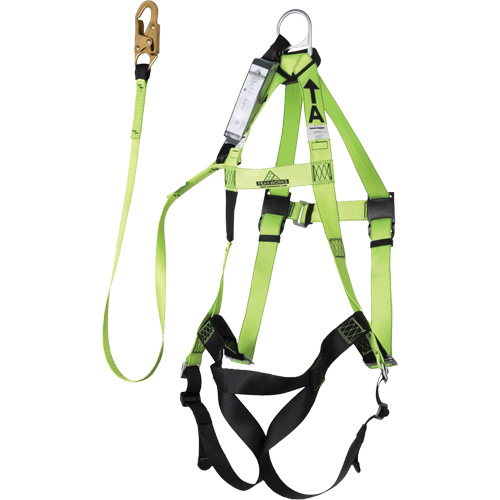 FBH-10000A6440-4 Harnais & longe classe A de 4' avec capacit&eacute; de 350 lb, Combinaison harnais/longe FMT Sales Ltd
