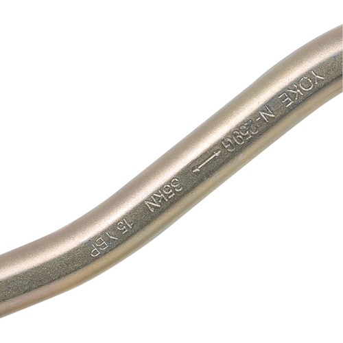 CP-04011-1 Zinc Plated Carabiner with 2" Gate Opening, Steel FMT Sales Ltd