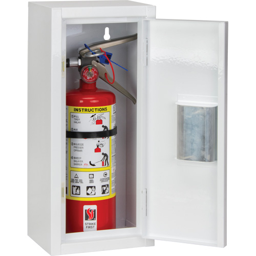 Indoor Fire Extinguisher Cabinet, 8" W x 18" H x 6" D FMT Sales Ltd