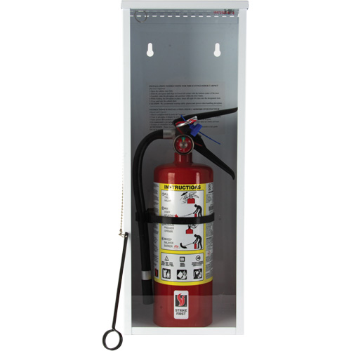 Light-Duty Fire Extinguisher Cabinet, 8" W x 22" H x 6" D FMT Sales Ltd