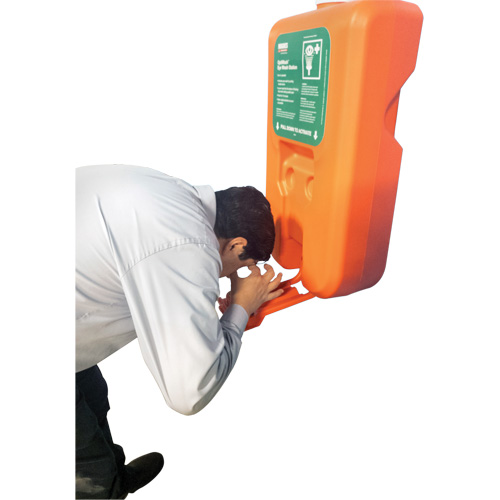 Portable Self-Contained Eyewash Station, Gravity-Fed, 10 gal. Capacity, Meets ANSI Z358.1 FMT Sales Ltd