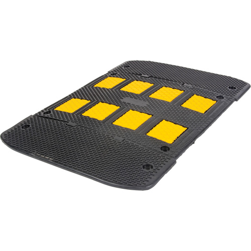 Speed Hump with End Caps, Rubber, 3' L x 40" W x 2" H FMT Sales Ltd