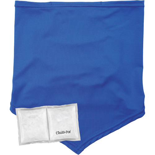 Chill-Its 6482 Cooling Neck Gaiter Bandana with Rechargeable Phase Change Packs,  Large/X-Large, Blue FMT Sales Ltd