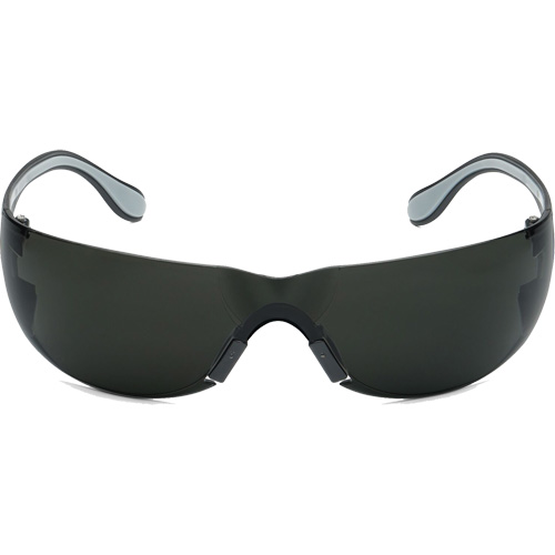 Lunettes de s&eacute;curit&eacute; Adapt Lite, Lentille Fum&eacute;e, Antibu&eacute;e/Anti-&eacute;gratignures, ANSI Z87+/R&eacute;pond ou surpasse la norme CSA Z94.3 FMT Sales Ltd