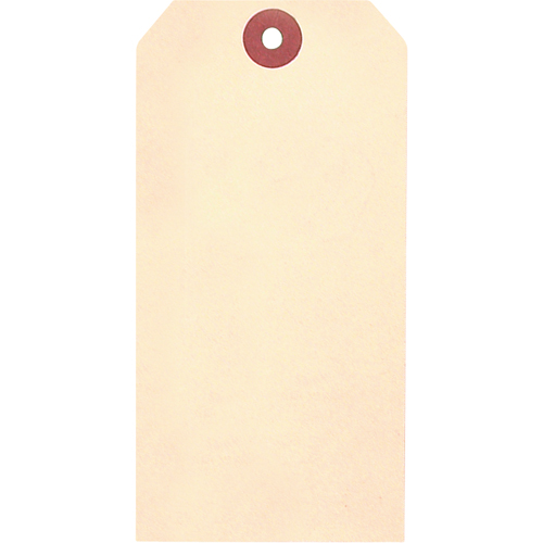 &eacute;tiquettes vierges en papier cartonn&eacute; de manille, Papier cartonn&eacute;, 1-5/8" la x 3-1/4" h FMT Sales Ltd