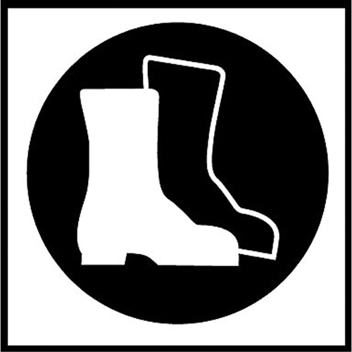 &eacute;tiquettes avec pictogramme Right to Know - Bottes, Vinyle, Feuille, 5/8" lo x 3/4" la FMT Sales Ltd