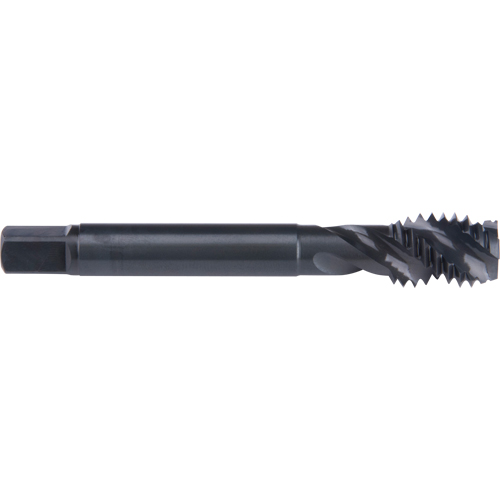 45° Spiral Flute Tap, High Speed Cobalt, 3/4"-10 Thread, 4-1/4" L FMT Sales Ltd