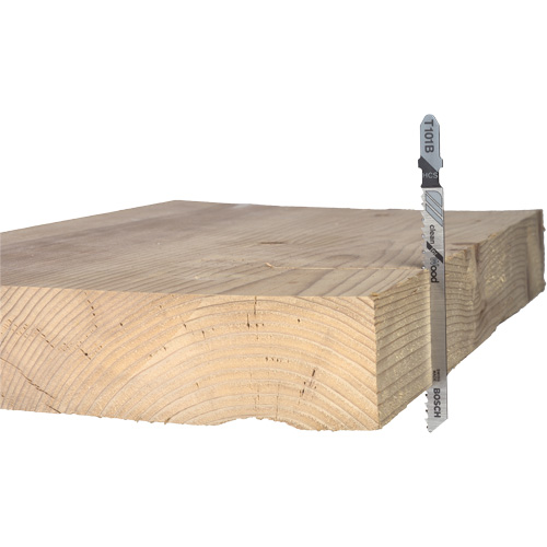 Lame de scie alternative pour la coupe du bois, Acier &agrave; haute teneur en carbone, Tige en T, 4" lo, 10 dents par pouce FMT Sales Ltd