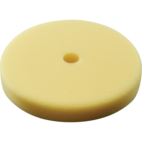 Polishing Pad, 7" Dia. FMT Sales Ltd