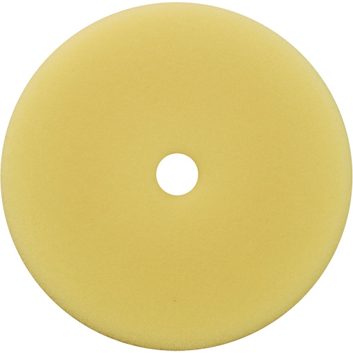 Polishing Pad, 7" Dia. FMT Sales Ltd