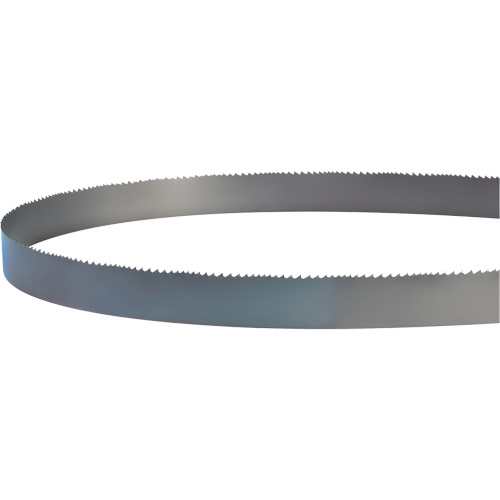 Lame soud&eacute;e pour scie &agrave; ruban, Bim&eacute;tal, 14' lo x 1" la x 4 - 6 dents par pouce FMT Sales Ltd