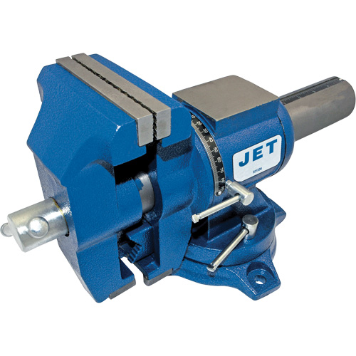 Multi-Purpose Heavy-Duty Vise, 5" Jaw Width, 3" Throat Depth FMT Sales Ltd