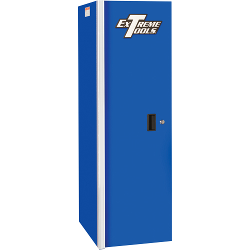 RX Series Side Cabinet, 3 Drawers, 19" W x 25" D x 61" H, Blue FMT Sales Ltd