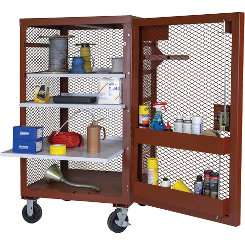 Armoire mobile en treillis, Acier, 22 pi³, Rouge FMT Sales Ltd