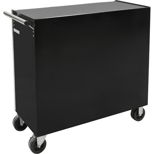 Industrial Tool Cart, 11 Drawers, 41" W x 18-3/4" D x 39-1/3" H, Black FMT Sales Ltd