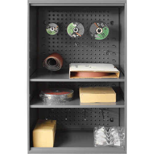 Abrasive Storage Cabinet with Pegboard, Steel, 19-7/8" x 14-1/4" x 32-3/4", Grey FMT Sales Ltd