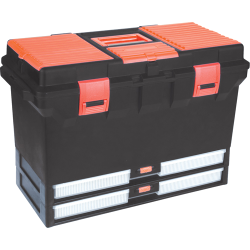 Plastic Tool Box, 22" W x 11" D x 14-1/2" H, Black FMT Sales Ltd