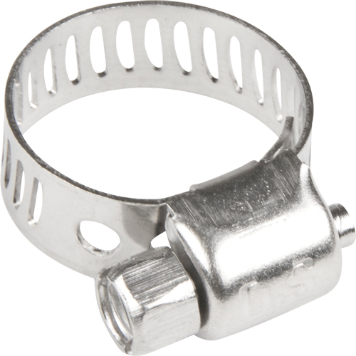 Colliers de serrage pour tuyaux - Collier de serrage & vis en acier inoxydable, Dia. min 1/5", Dia. max 5/8" FMT Sales Ltd