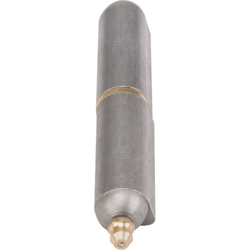 Charni&egrave;re &agrave; souder, 0,63" dia. x 3,937" lo, Acier doux a/goupille fixe en acier FMT Sales Ltd