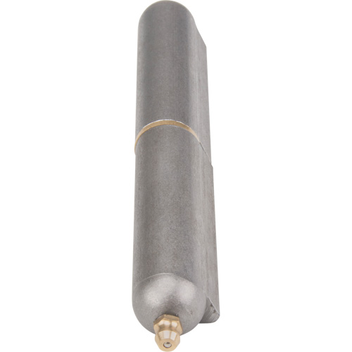 Weld-On Hinge, 0.787" Dia. x 5.906" L, Mild Steel w/Fixed Steel Pin FMT Sales Ltd