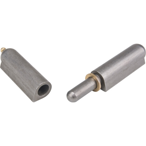Weld-On Hinge, 0.787" Dia. x 5.906" L, Mild Steel w/Fixed Steel Pin FMT Sales Ltd