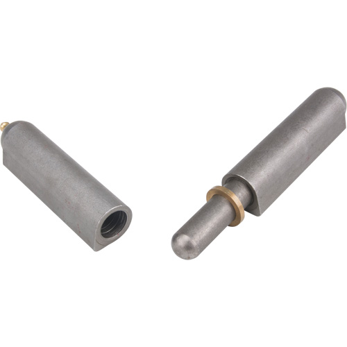 Weld-On Hinge, 0.906" Dia. x 7.874" L, Mild Steel w/Fixed Steel Pin FMT Sales Ltd