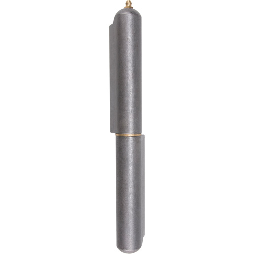 Weld-On Hinge, 1.102" Dia. x 10.236" L, Mild Steel w/Fixed Steel Pin FMT Sales Ltd