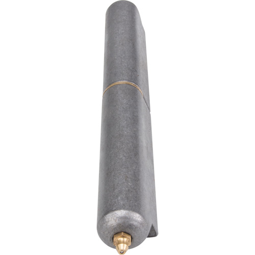 Weld-On Hinge, 1.102" Dia. x 10.236" L, Mild Steel w/Fixed Steel Pin FMT Sales Ltd