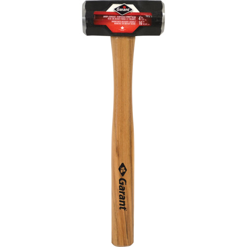 Double-Face Sledge Hammer, 4 lbs., 16" L, Wood Handle FMT Sales Ltd