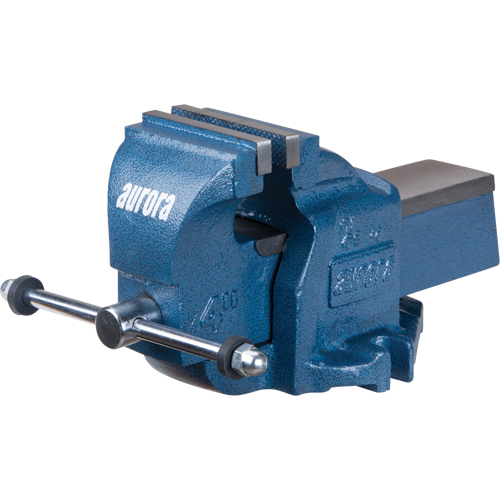 &eacute;tau d'&eacute;tabli robuste, Largeur des m&acirc;choires 4", Profondeur de la gorge 2-7/10" FMT Sales Ltd