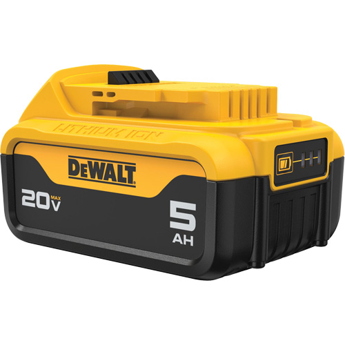 Max XR&reg; Premium Battery Pack, Lithium-Ion, 20 V, 5 A FMT Sales Ltd